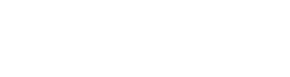 Steve Brown Academy